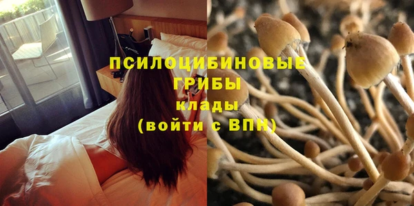 марихуана Беломорск