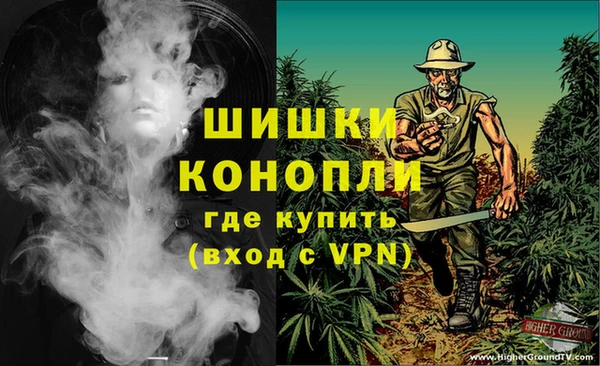 каннабис Белокуриха