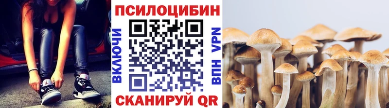 Псилоцибиновые грибы Psilocybine cubensis  Яровое 